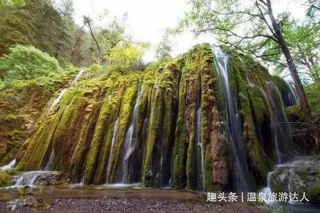 生化危机0